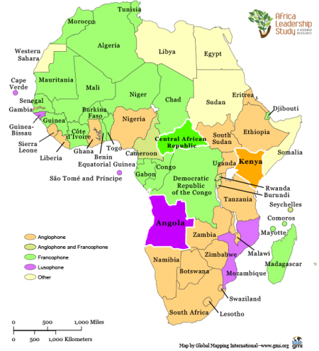 About – Africa Leadership Study